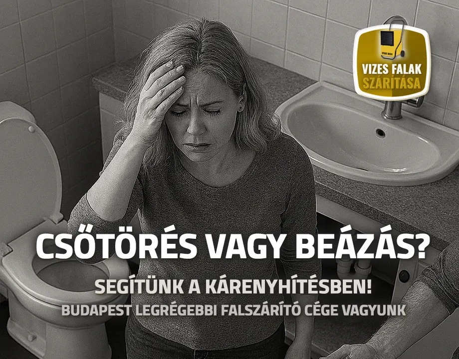 Csőtörés vagy beázás?