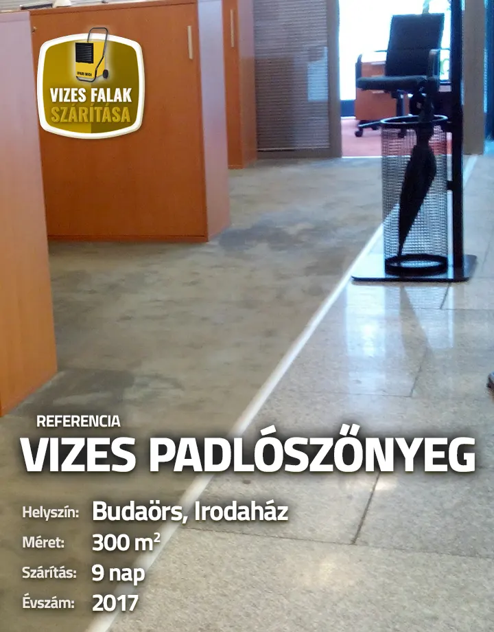 Referencia szárítási kép
