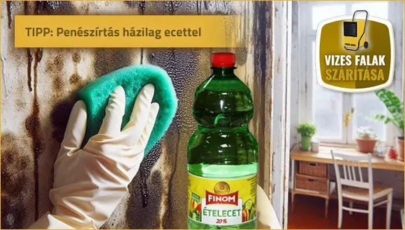 Penészírtás házilag