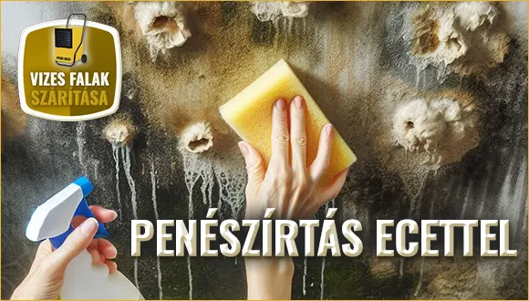 Penészírtás házilag