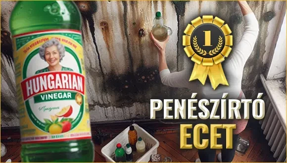 Penészírtás házilag