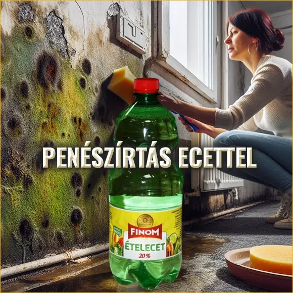 Penészírtás ecettel