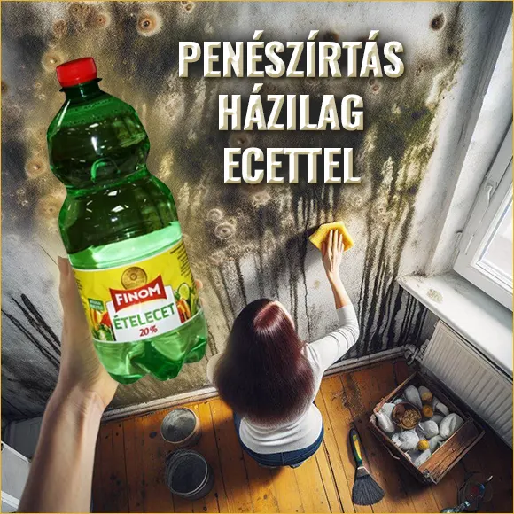 Penészírtás ecettel