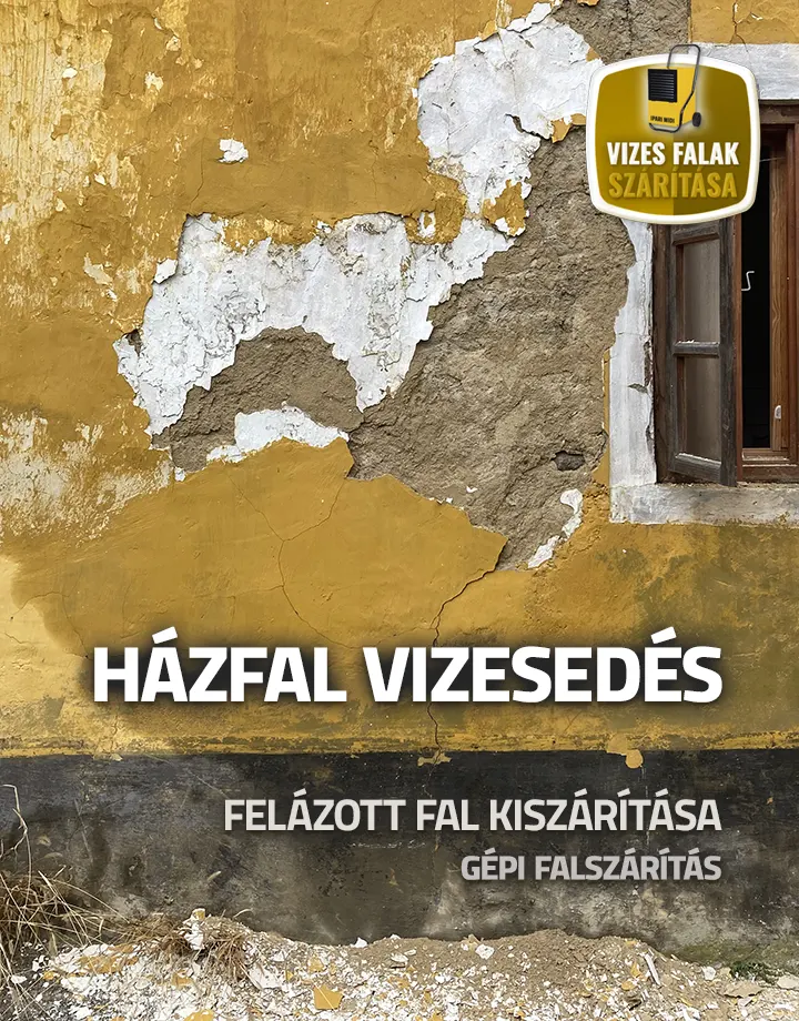 Házfal vizesedés