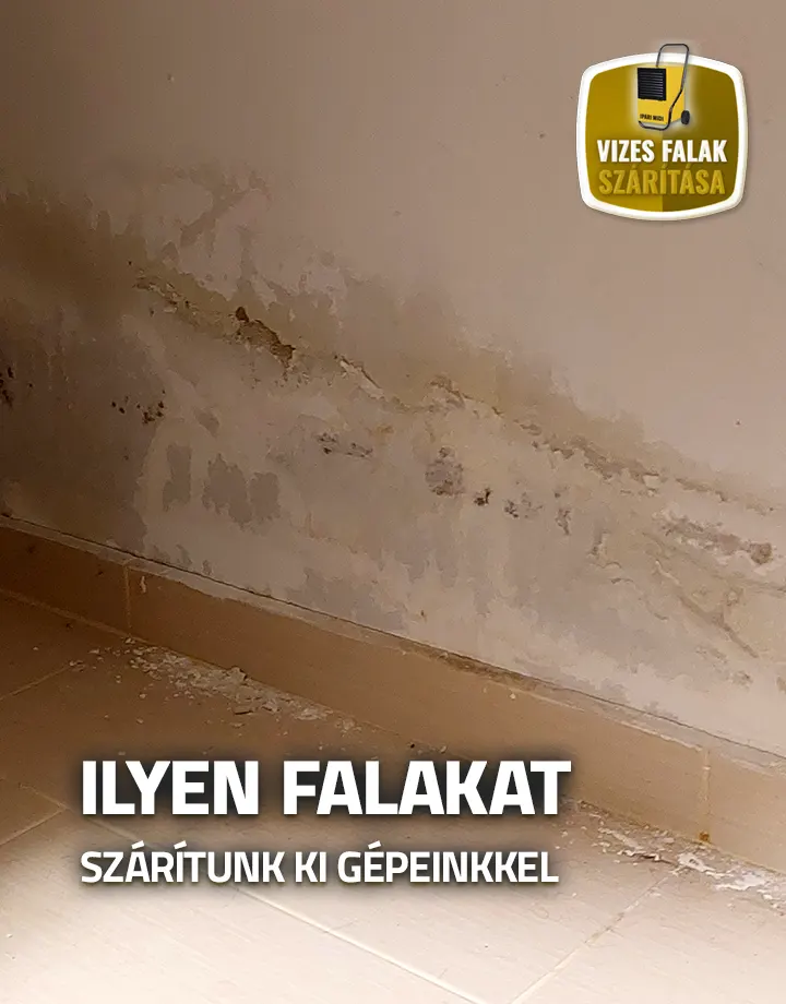 Házfal vizesedés